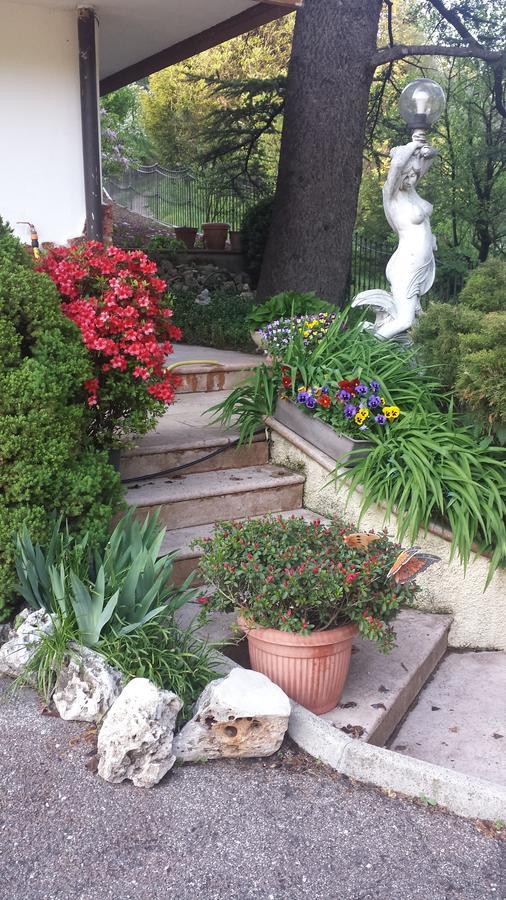Al Cedro Bed & Breakfast